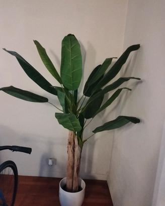 Pianta di banano finta 