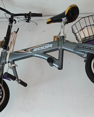bicicletta 