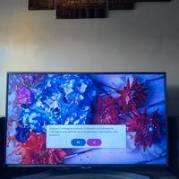 LG smart TV 4k Ultra HD 49 pollici