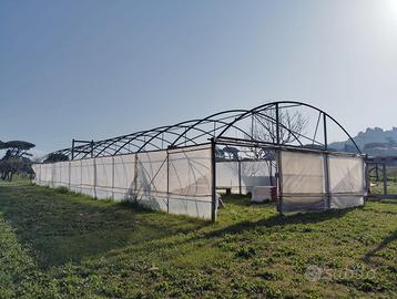 Serra Professionale Zincata 8x30