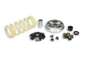 517081 variatore multivar per piaggio sfera - zip 