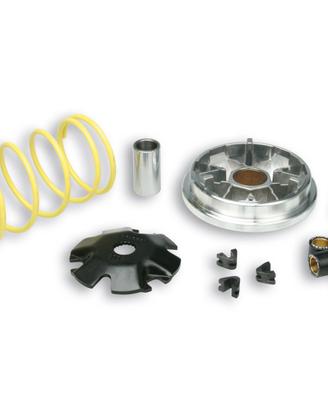 517081 variatore multivar per piaggio sfera - zip 