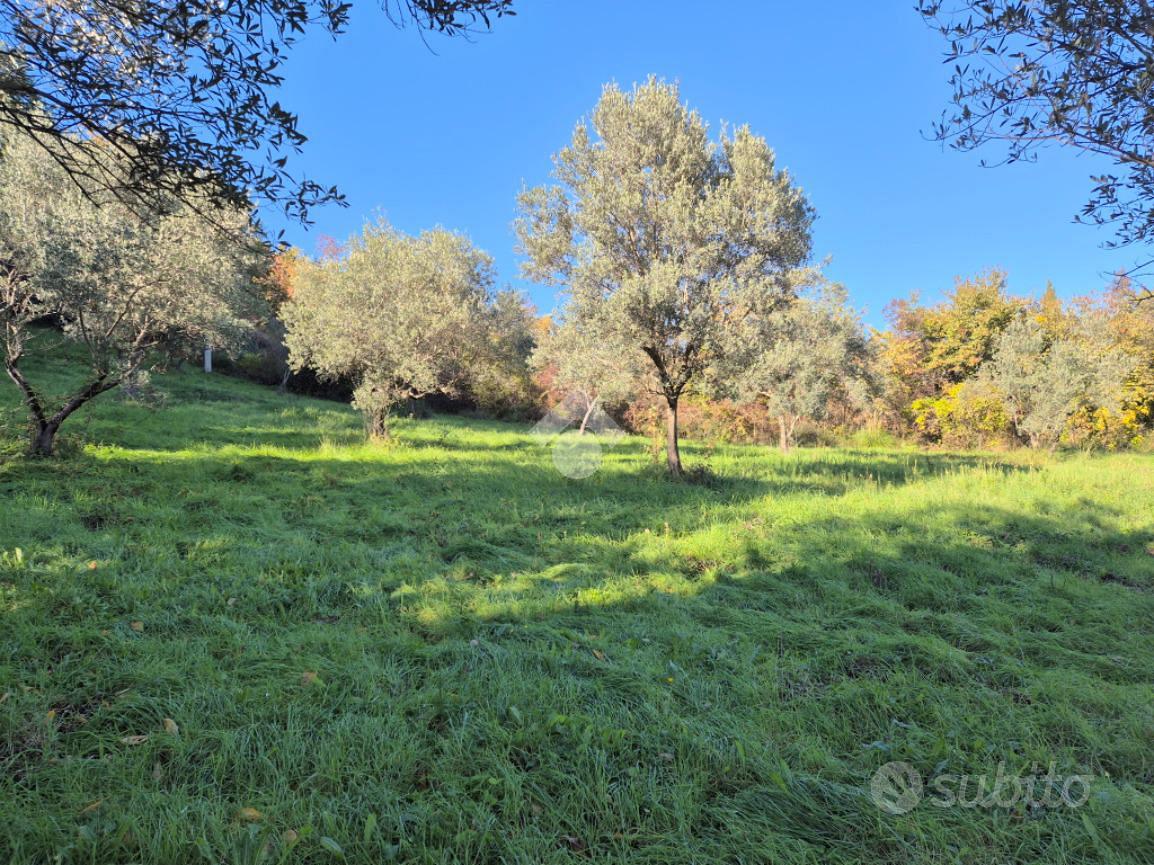 TER. AGRICOLO A MOMPEO - Vista 2