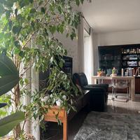 1 stanza per una sola ragazza lavoratrice