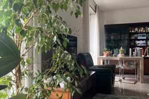 1 stanza per una sola ragazza lavoratrice