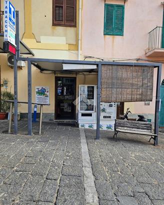 ATTIVITÀ A USTICA