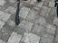 Immagine 4