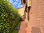 Immagine 8