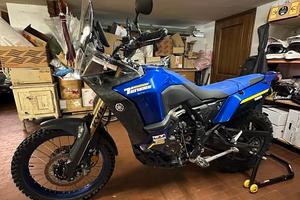 Yamaha Ténéré 700 World Raid - Tagliandi ufficiali