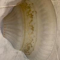 Plafoniera