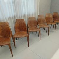 6 sedie cuoio stampa coccodrillo Cattelan Italia 