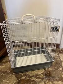 Gabbia per volatili