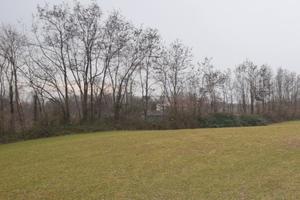 Rif.ZT41F_51| terreno agricolo montebelluna