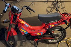 Motorino  malaguti fifty hf