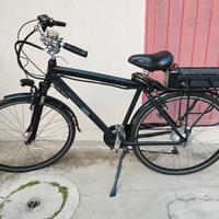 Bicicletta elettrica Eusebi Ergos 