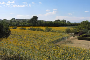 Terreno agricolo 8646mq, utenze, capanno, giardino