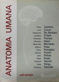 Anatomia umana