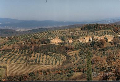 Azienda Agrituristica + albergo + ristorante