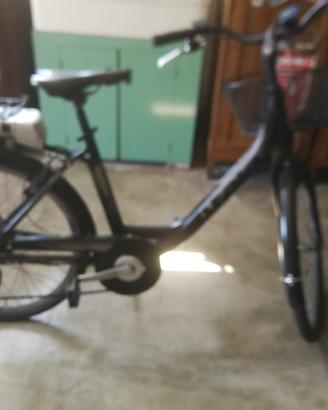 bicicletta elettrica