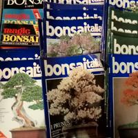 23 riviste di Bonsai Italia