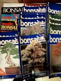 23 riviste di Bonsai Italia