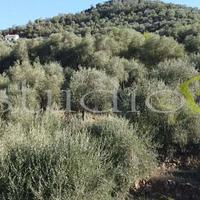 Rustico-Casale a Perinaldo