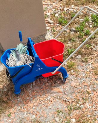 carrello pulizia professionale