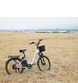 bici elettrica 