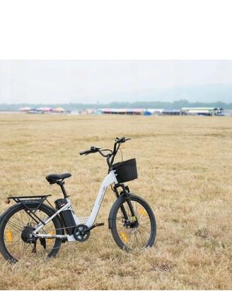 bici elettrica 