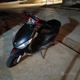 zip piaggio