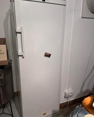 Congelatore Liebherr