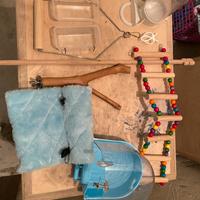 Accessori per pappagalli