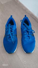Nike Downshifter