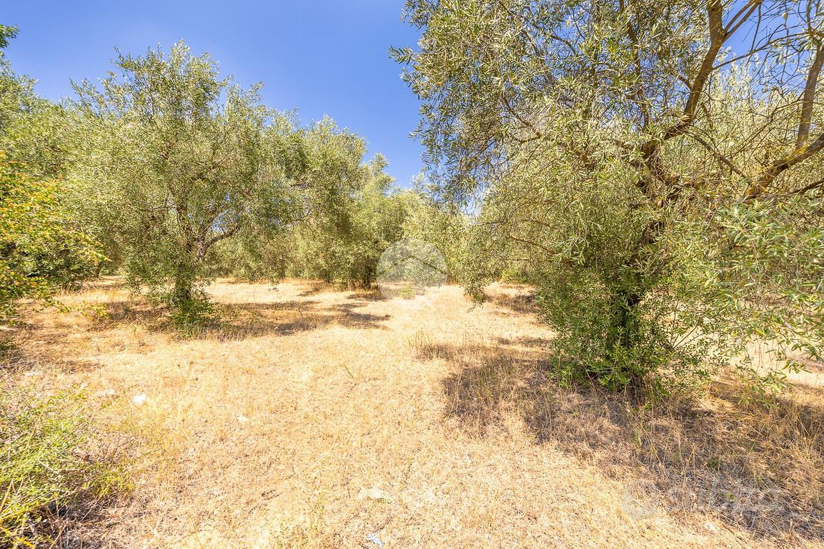 TER. AGRICOLO A GUIDONIA MONTECELIO - Altro