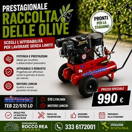 Motocompressore Airmec TEB 22/510 LO