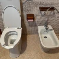 Sanitari con Wc per disabili