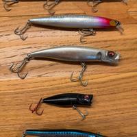 Lotto esche artificiali spigola vari marchi