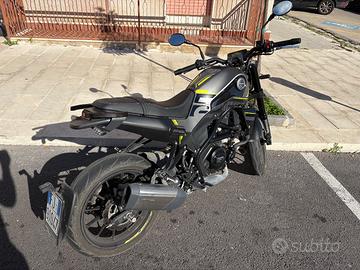 Benelli Leoncino 250 - 2024