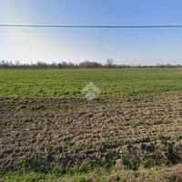 TERRENO A SANT'ILARIO D'ENZA