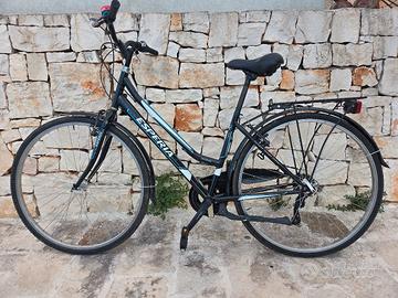 Bicicletta da passeggio con marce 