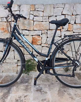 Bicicletta da passeggio con marce 