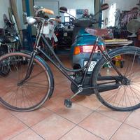 bici da donna superba