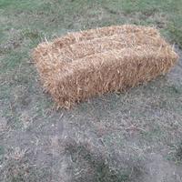 Balle di paglia rettangolari