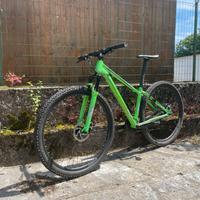 BICI HORNET DA XC
