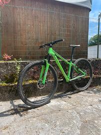 BICI HORNET DA XC