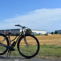 QU-AX Monsterbike 36'' | eBike City