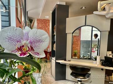 Salone nel centro di Merano