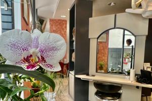 Salone nel centro di Merano