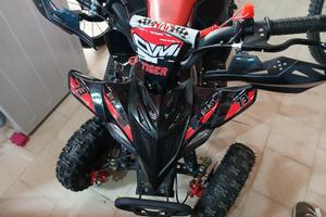 quad benzina