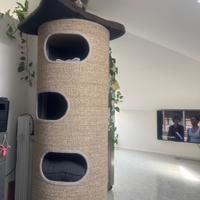 Torre tiragraffi gatto